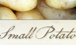 Small Potato Satyagraha